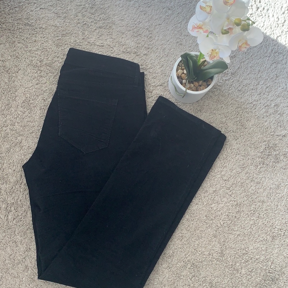 👖Loft Pants
